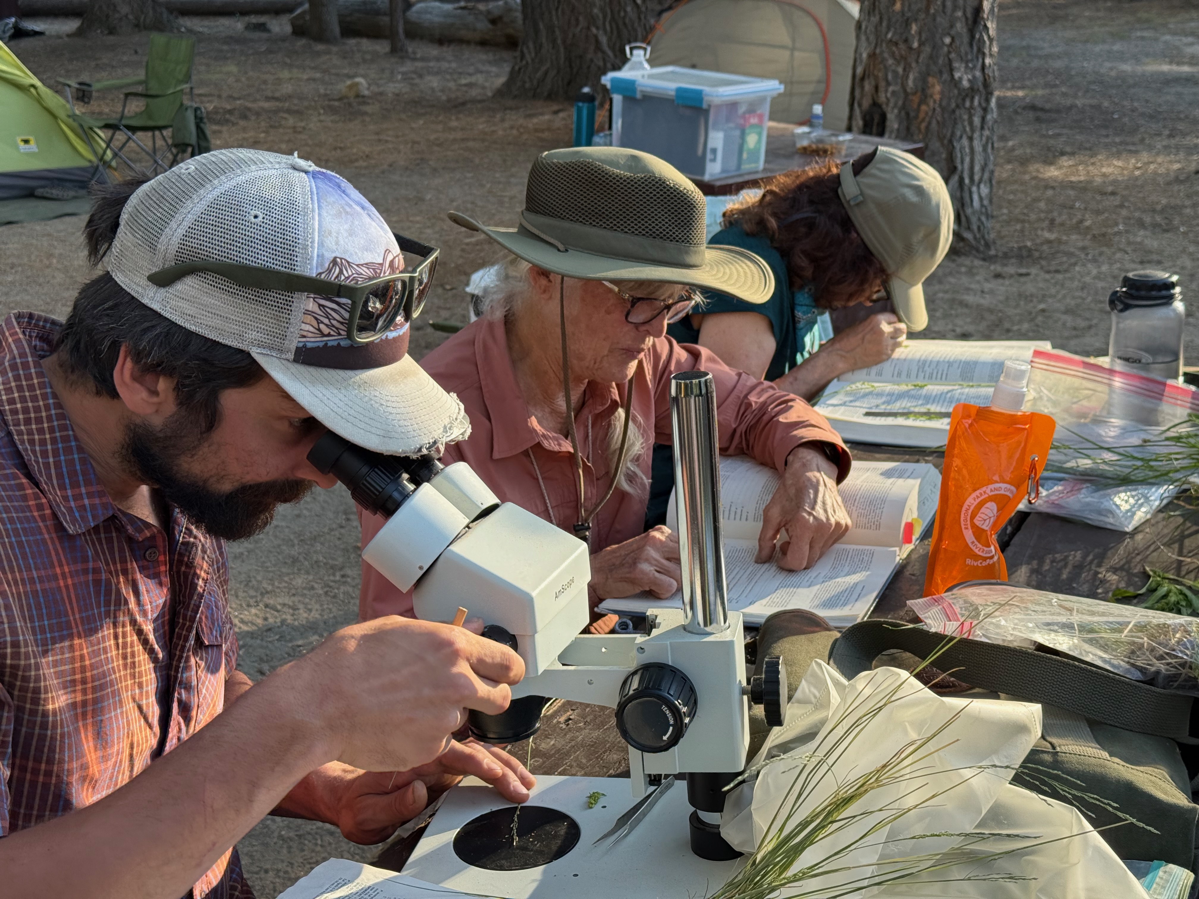 Photo credit: Silke Gathmann Botanists
